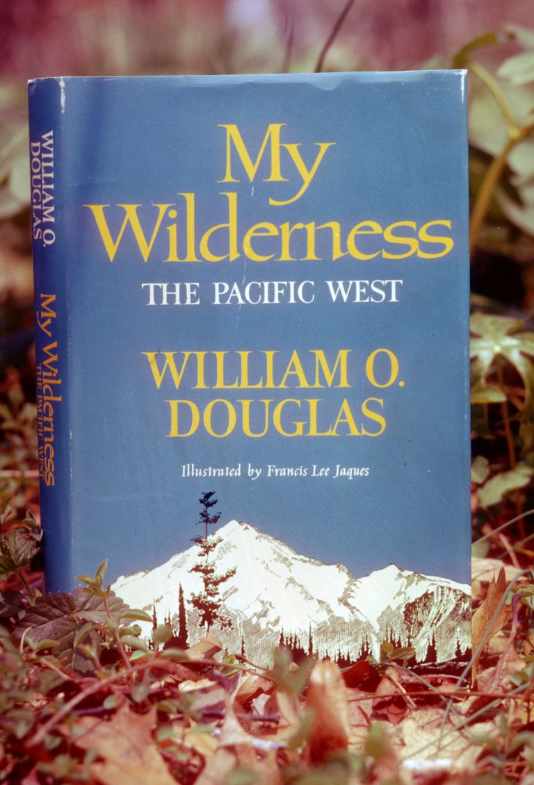 into the wilderness book