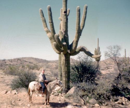 Douglas by giant cactus